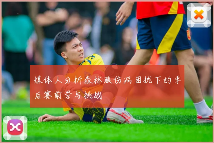 媒体人分析森林狼伤病困扰下的季后赛前景与挑战