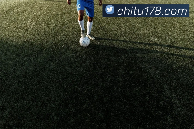 星空网官网首页入口发展历程